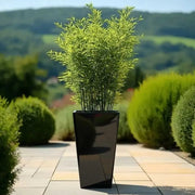90cm Zinc Galvanised Polished Black Tall Tapered Planter